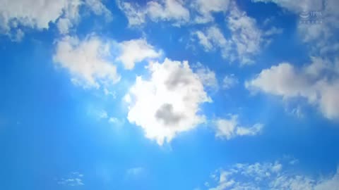 Chồng để vợ đi cắm trại với hàng xóm vì sợ mất lòng và cái kết cho kẻ ngu
